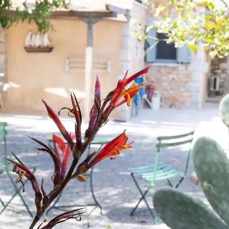 Sophia Town Square *