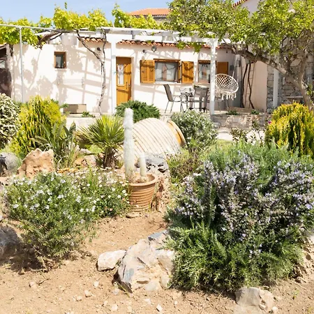 Casa vacanze Sophia Town Square *