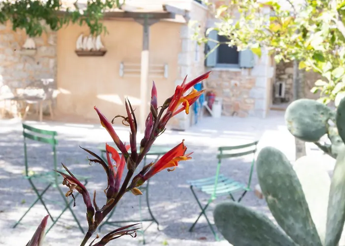 Sophia Town Square *